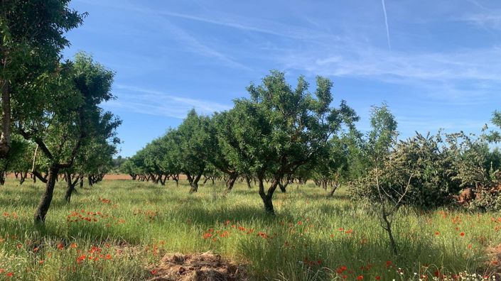Image No.3-Land for sale