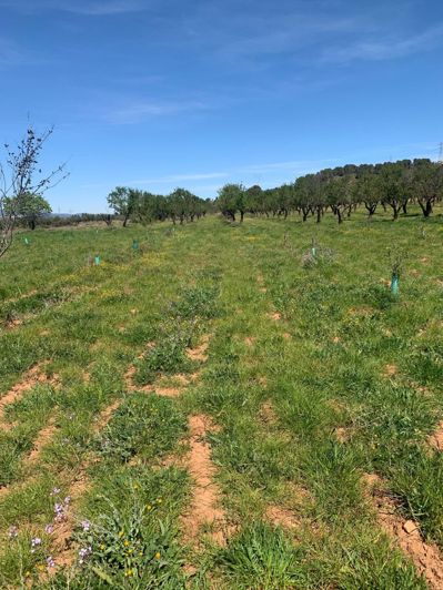 Image No.6-Land for sale