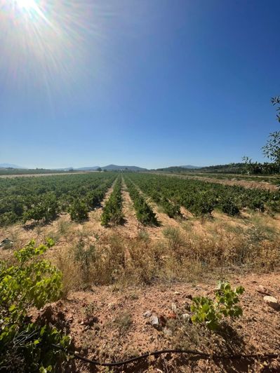Image No.5-Land for sale