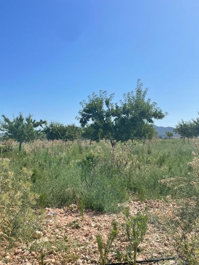 Image No.8-Land for sale