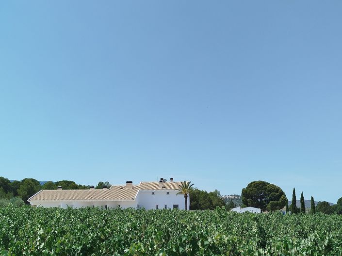 Image No.6-11 Bed Finca for sale