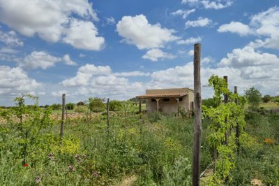 gresale-commercial-almansa256421xl