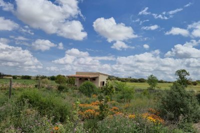 gresale-commercial-almansa256423xl