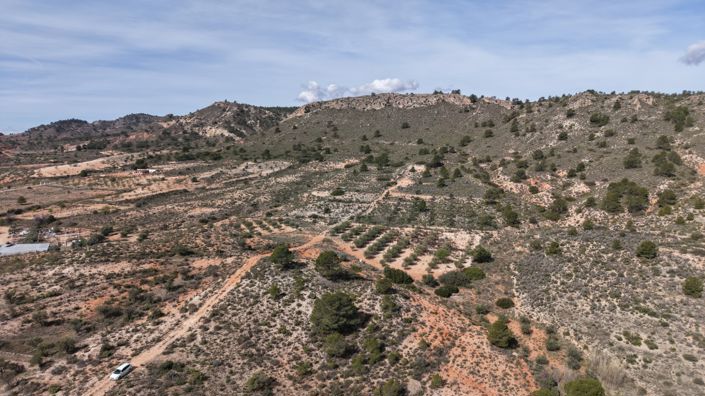 Image No.13-Land for sale
