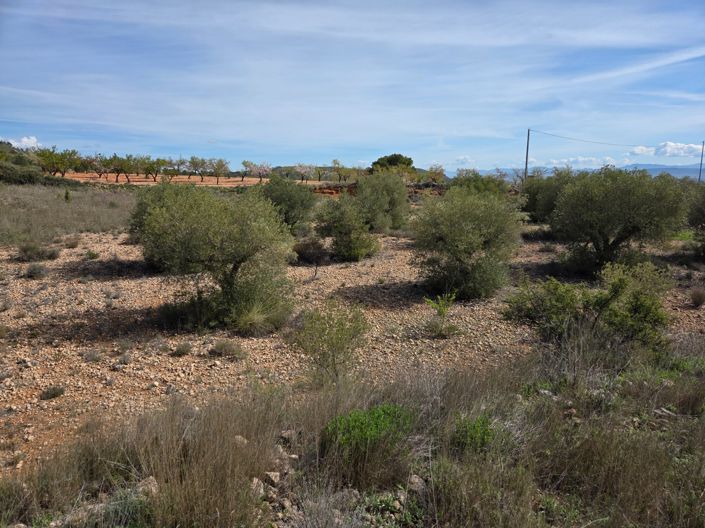 Image No.6-Land for sale
