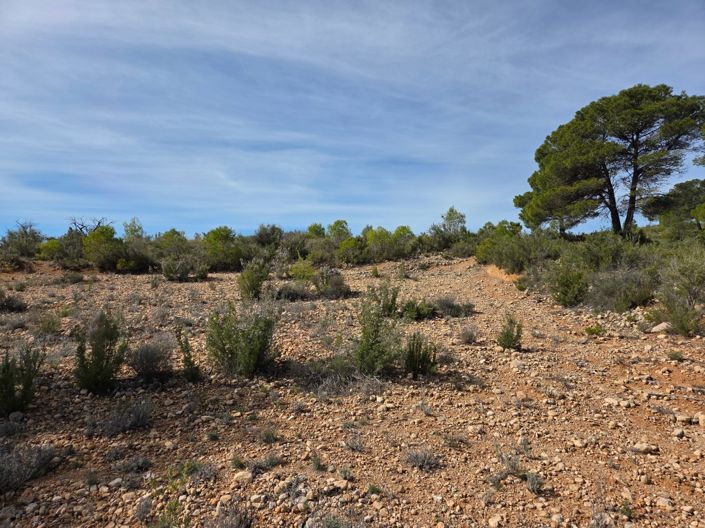 Image No.8-Land for sale