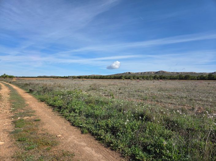 Image No.3-Land for sale