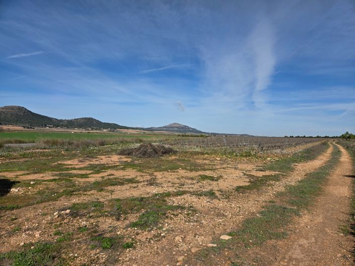 Image No.4-Land for sale
