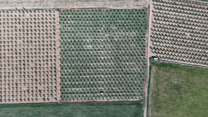 Image No.11-Land for sale