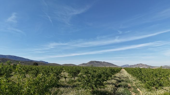 Image No.12-Land for sale