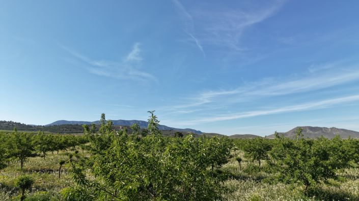 Image No.13-Land for sale