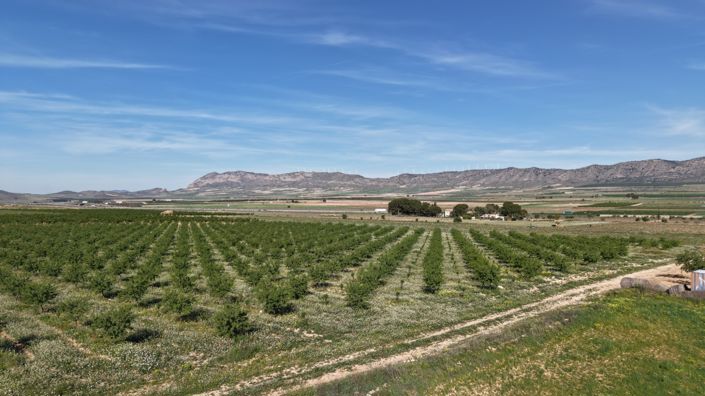 Image No.2-Land for sale