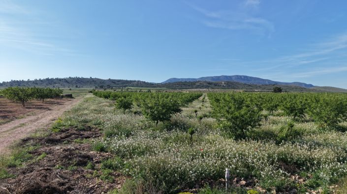 Image No.3-Land for sale