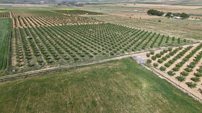 Image No.4-Land for sale