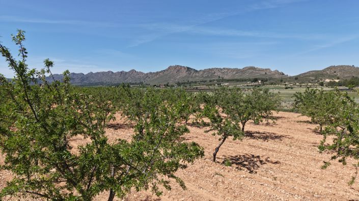 Image No.5-Land for sale