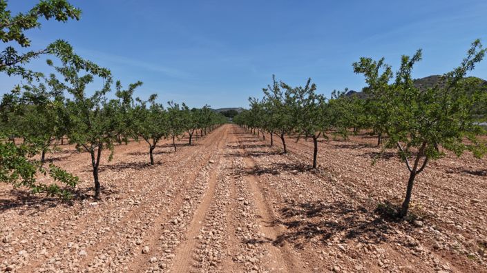 Image No.6-Land for sale