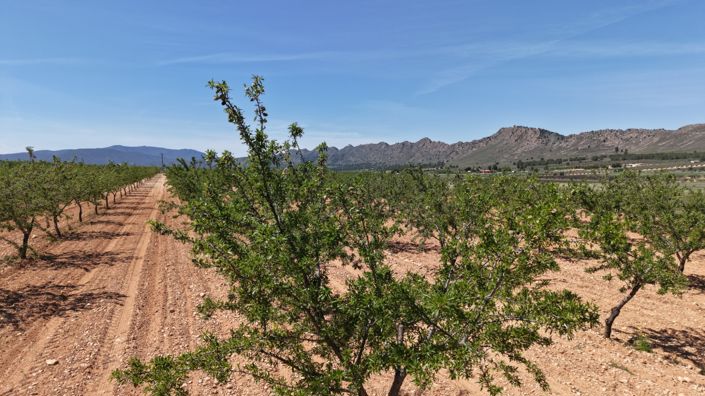 Image No.7-Land for sale