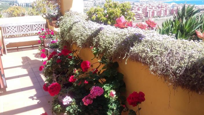 Image No.11-2 Bed Apartment for sale