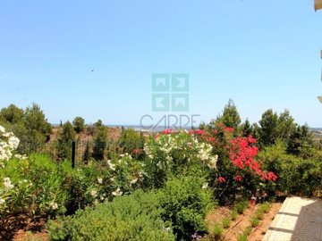 idb3187900-0000-0500-0000-000003f7737d