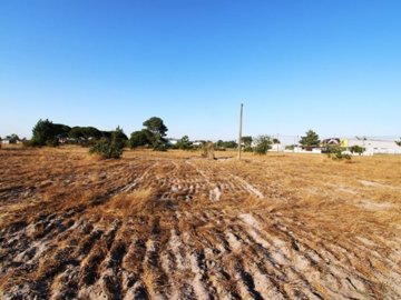 idc89b2c01-0000-0500-0000-00000c910187