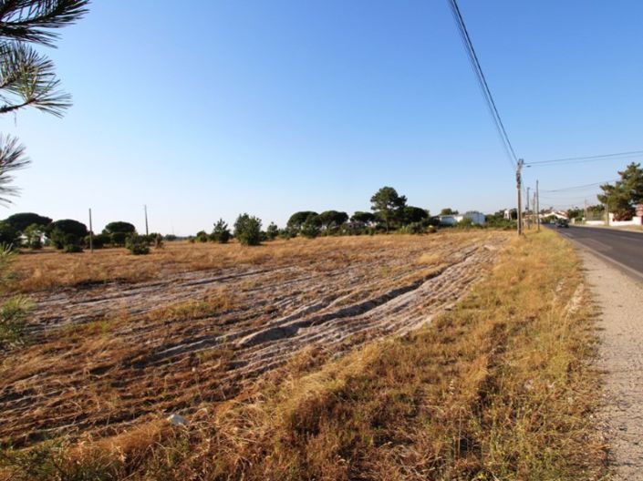 Image No.11-Ferme de 3 chambres à vendre à Palmela