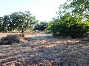 idc89b2c01-0000-0500-0000-00000c91018a