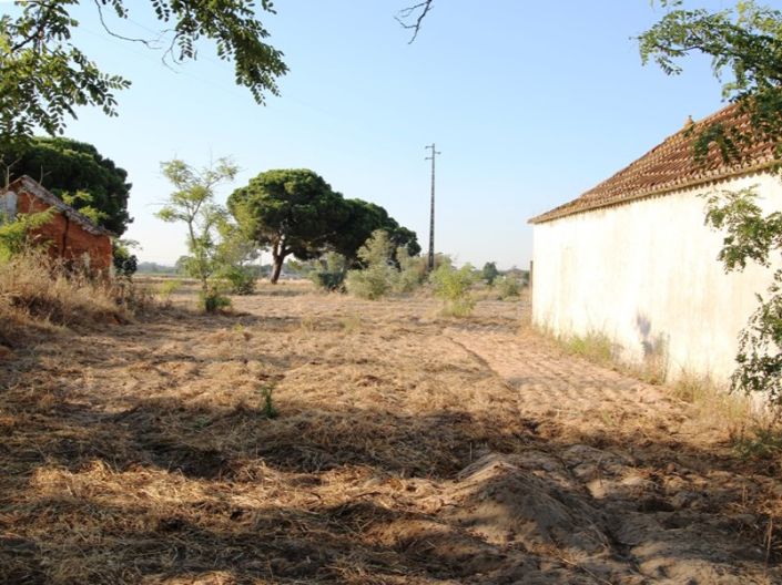 Image No.14-Ferme de 3 chambres à vendre à Palmela