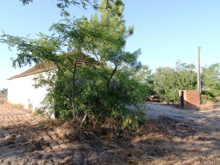 Image No.15-Ferme de 3 chambres à vendre à Palmela