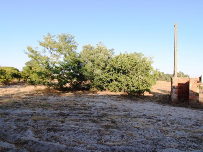 Image No.16-Ferme de 3 chambres à vendre à Palmela