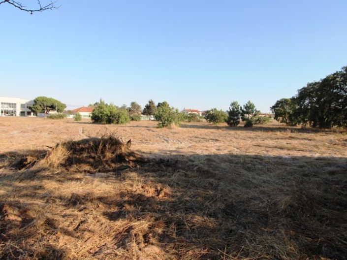 Image No.17-Ferme de 3 chambres à vendre à Palmela