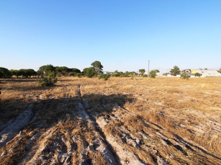 Image No.19-Ferme de 3 chambres à vendre à Palmela