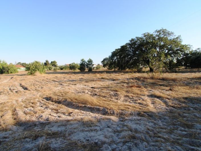 Image No.20-Ferme de 3 chambres à vendre à Palmela