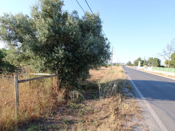 Image No.23-Ferme de 3 chambres à vendre à Palmela