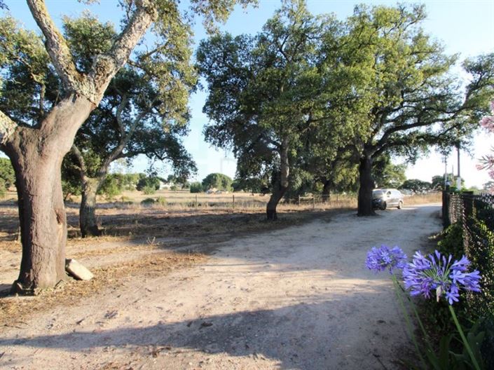 Image No.29-3 Bed Farmhouse for sale