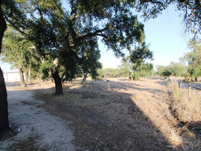Image No.26-Ferme de 3 chambres à vendre à Palmela