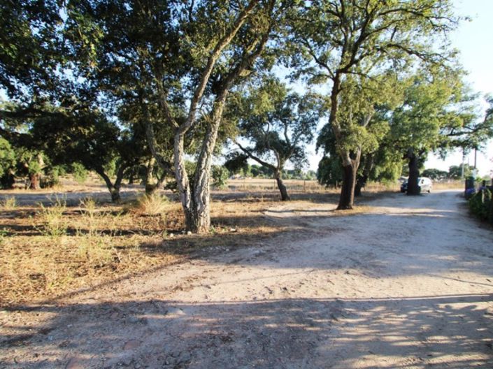 Image No.27-Ferme de 3 chambres à vendre à Palmela