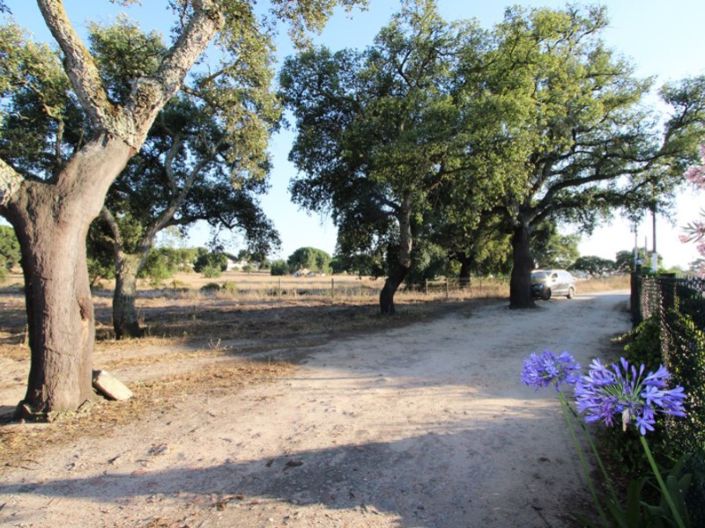 Image No.29-Ferme de 3 chambres à vendre à Palmela