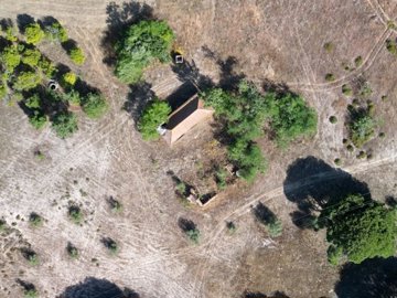 idc89b2c01-0000-0500-0000-0000132fd27d