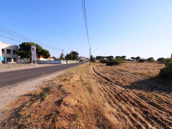 Image No.6-Ferme de 3 chambres à vendre à Palmela