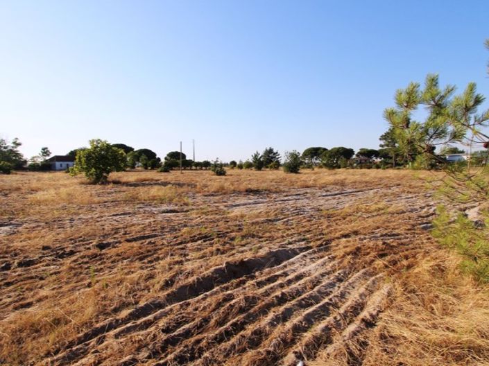Image No.9-Ferme de 3 chambres à vendre à Palmela