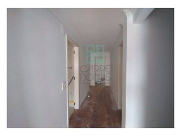 id5ec65601-0000-0500-0000-00000f8cb007