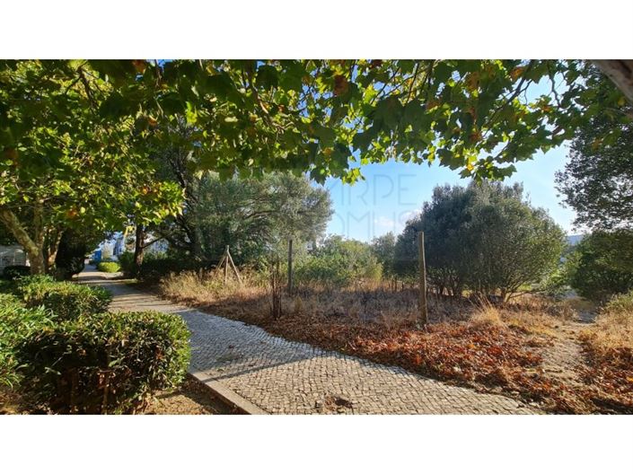 Image No.48-Plot for sale