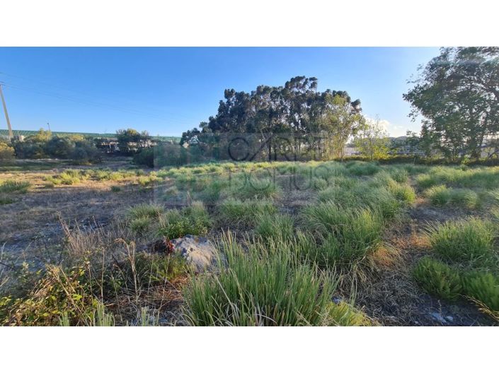 Image No.51-Plot for sale