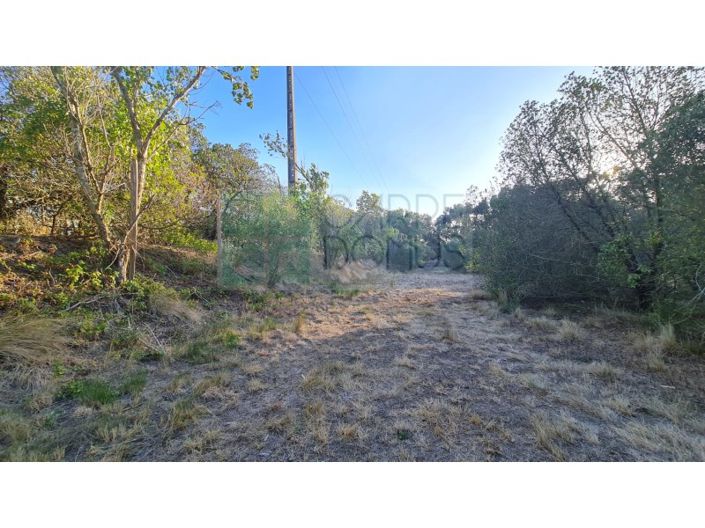 Image No.56-Plot for sale