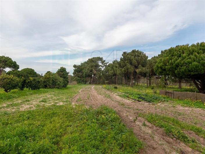 Image No.40-4 Bed House for sale