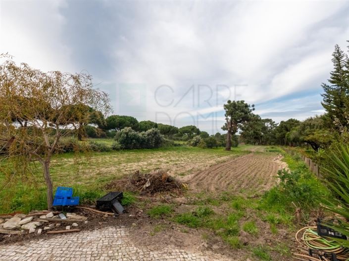 Image No.41-4 Bed House for sale