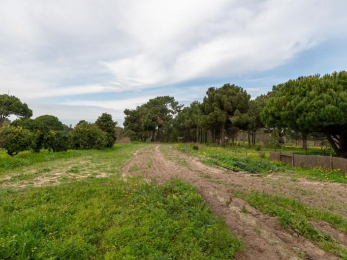 Image No.40-Maison de 4 chambres à vendre à Sesimbra