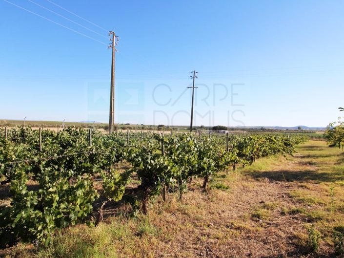 Image No.36-4 Bed House for sale