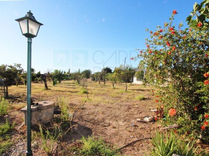 Image No.39-4 Bed House for sale