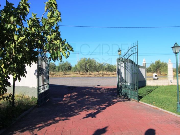 Image No.42-4 Bed House for sale